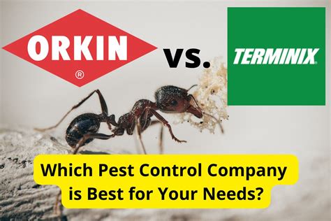Orkin vs terminix. Things To Know About Orkin vs terminix. 